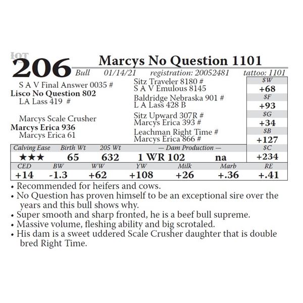 Marcys No Question 1101