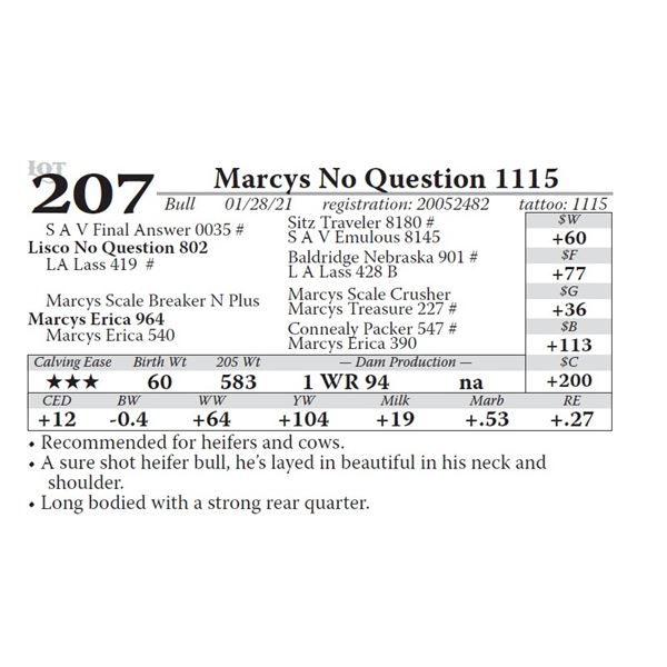 Marcys No Question 1115