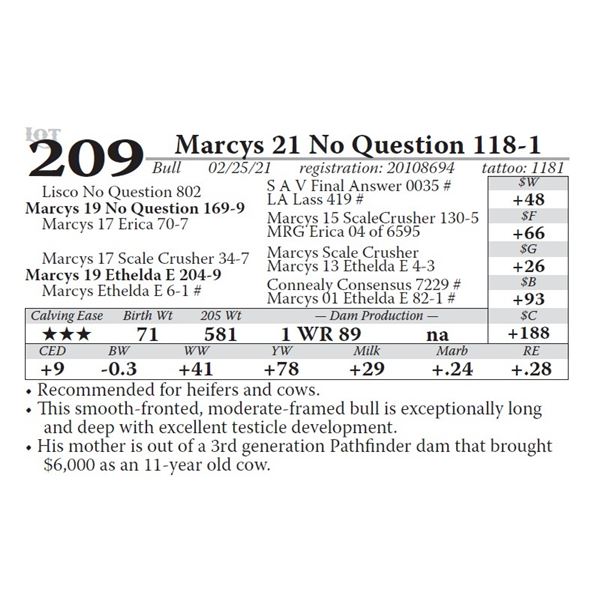 Marcys 21 No Question 118-1