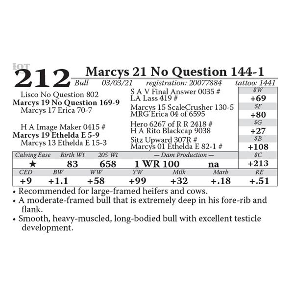 Marcys 21 No Question 144-1