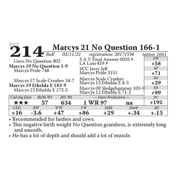 Marcys 21 No Question 166-1