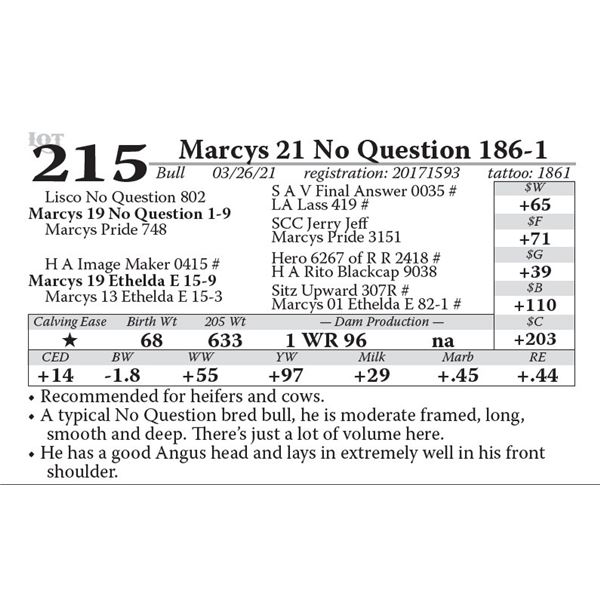 Marcys 21 No Question 186-1