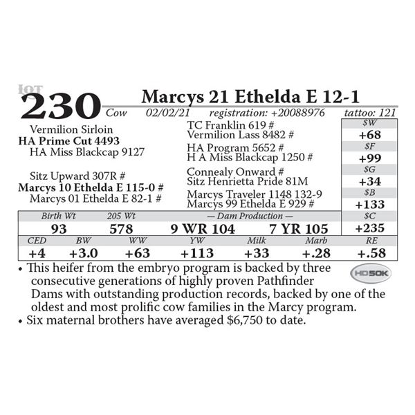 Marcys 21 Ethelda E 12-1