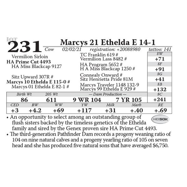 Marcys 21 Ethelda E 14-1