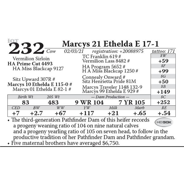 Marcys 21 Ethelda E 17-1