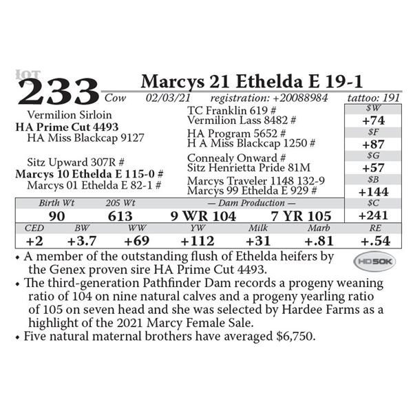 Marcys 21 Ethelda E 19-1
