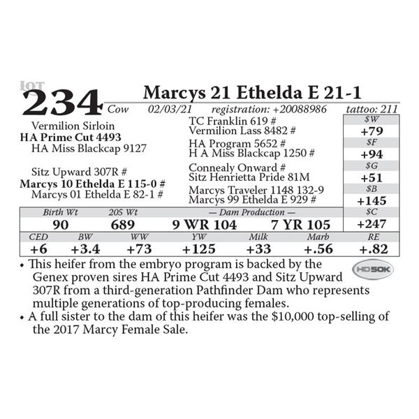 OUT OF SALE - Marcys 21 Ethelda E 21-1