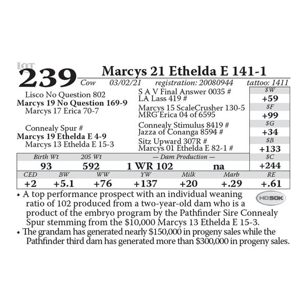 Marcys 21 Ethelda E 141-1