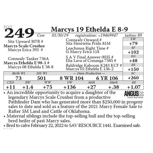 Marcys 19 Ethelda E 8-9