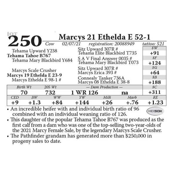 OUT OF SALE - Marcys 21 Ethelda E 52-1