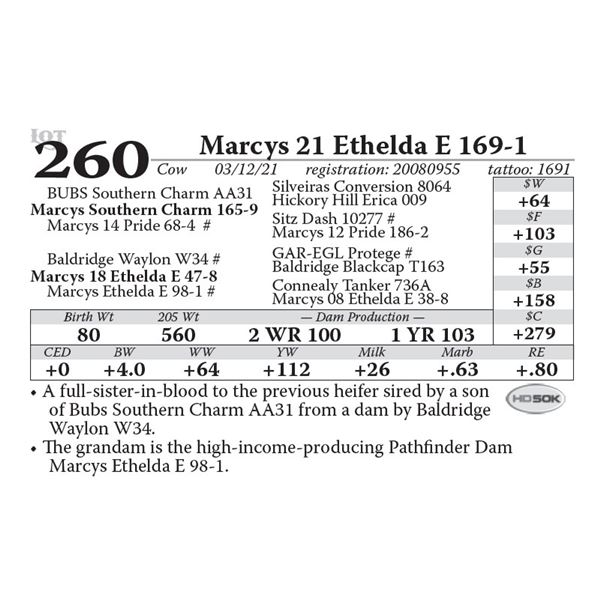 Marcys 21 Ethelda E 169-1