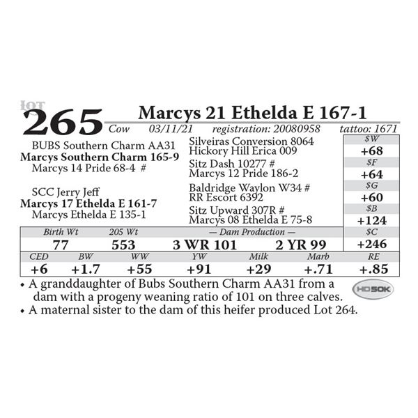 Marcys 21 Ethelda E 167-1