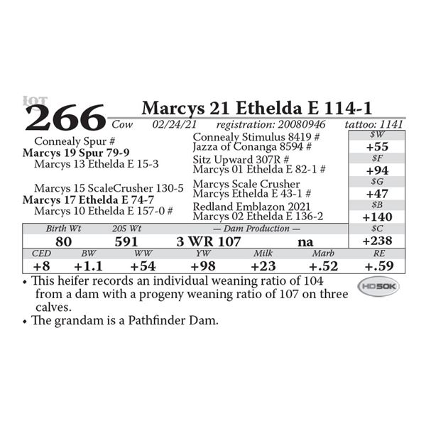 Marcys 21 Ethelda E 114-1