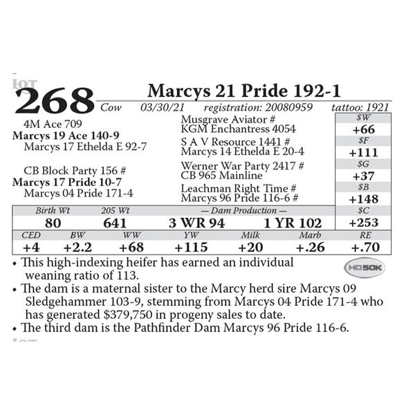 Marcys 21 Pride 192-1