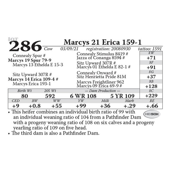 Marcys 21 Erica 159-1