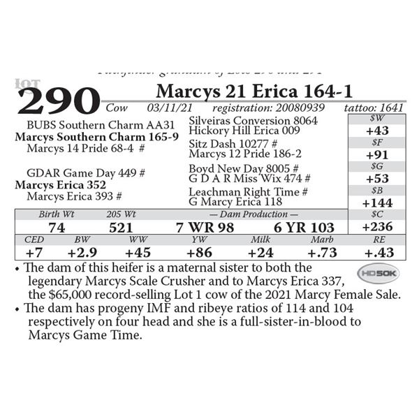 Marcys 21 Erica 164-1