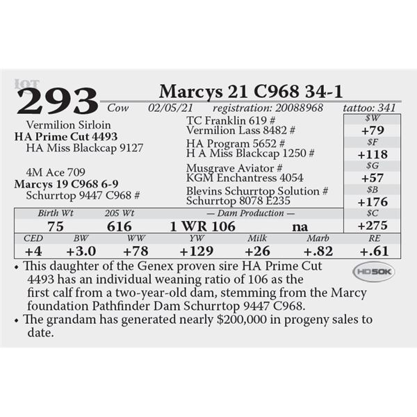 Marcys 21 C968 34-1