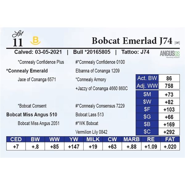 Bobcat Emerlad J74