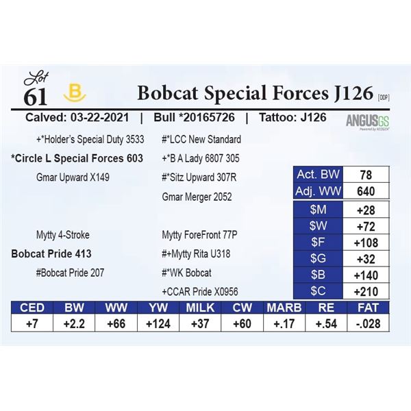 Bobcat Special Forces J126