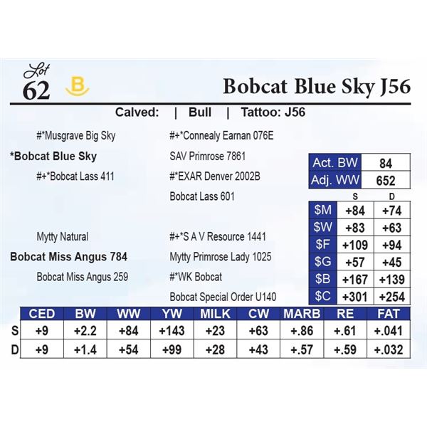 Bobcat Blue Sky J56