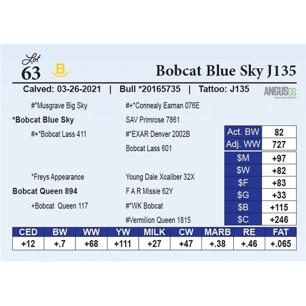 Bobcat Blue Sky J135