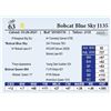Image 1 : Bobcat Blue Sky J135