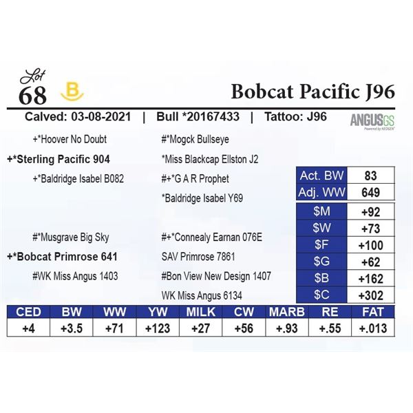 Bobcat Pacific J96