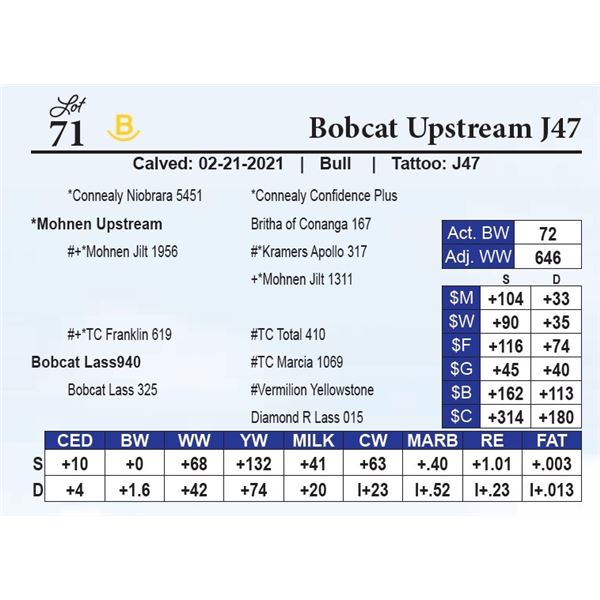 Bobcat Upstream J47