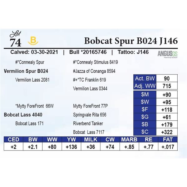 Bobcat Spur B024 J146