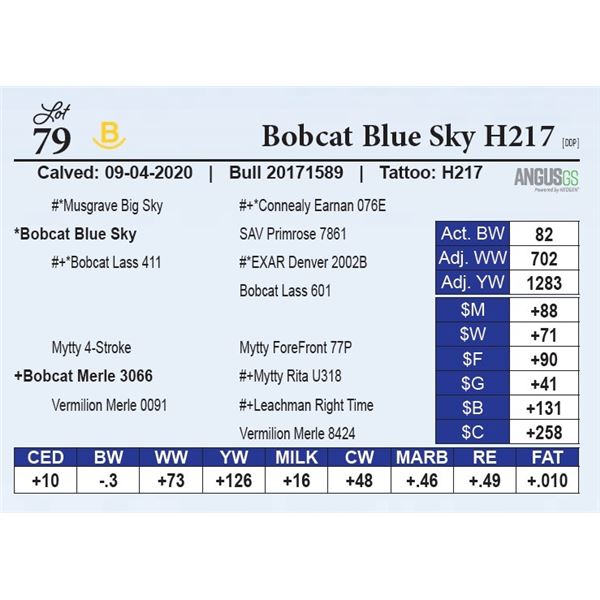 Bobcat Blue Sky H217