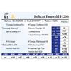 Image 1 : Bobcat Emerald H206