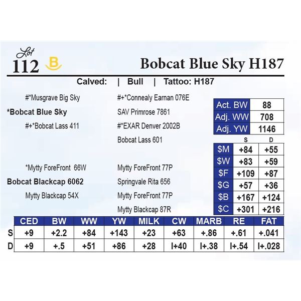 Bobcat Blue Sky H187