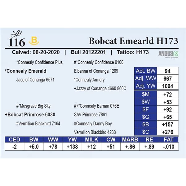 Bobcat Emearld H173