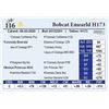 Image 1 : Bobcat Emearld H173