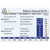 Image 1 : Bobcat Natural H138