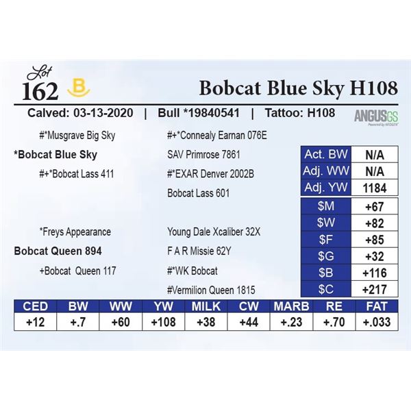 Bobcat Blue Sky H108