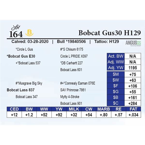 Bobcat Gus30 H129