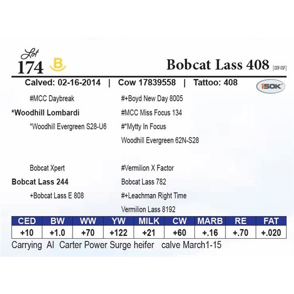 Bobcat Lass 408