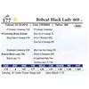 Image 1 : Bobcat Black Lady 468