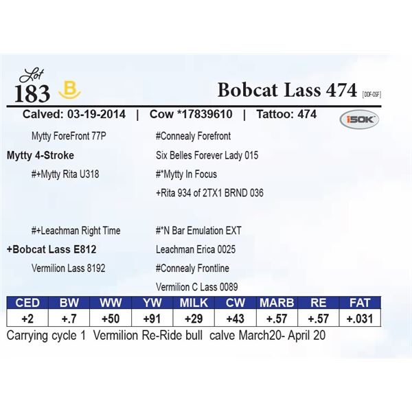 Bobcat Lass 474