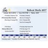 Image 1 : Bobcat Merle 4057