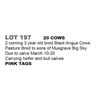 Image 1 : 20 - 2 Coming 3 Yr Old Bred Cows