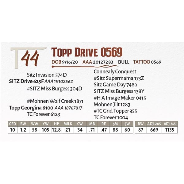 Topp Drive 0569