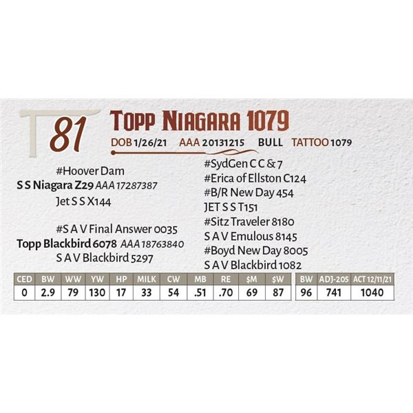 Topp Niagara 1079