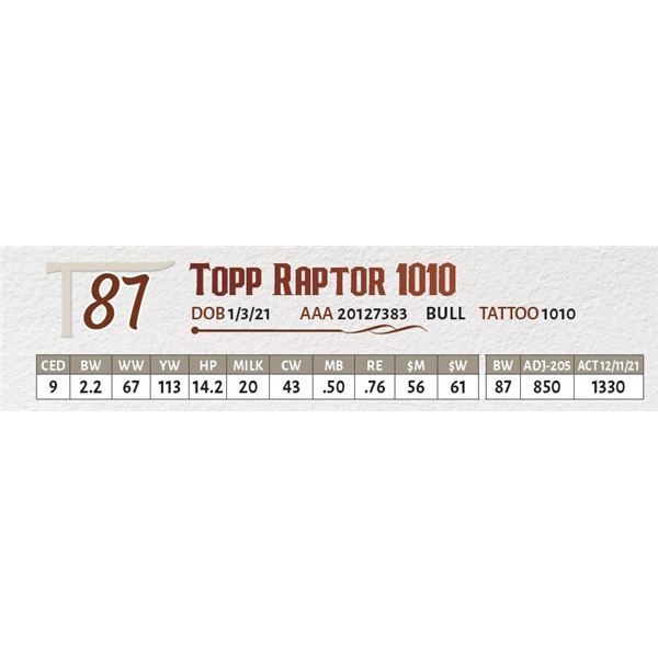 Topp Raptor 1010