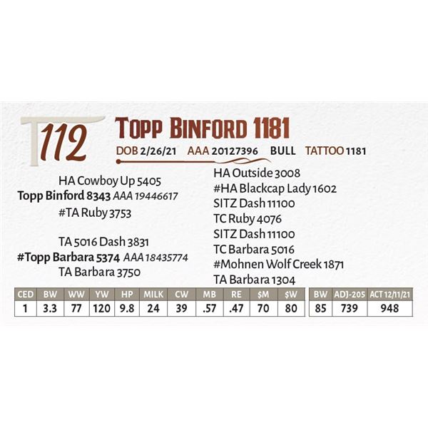 Topp Binford 1181