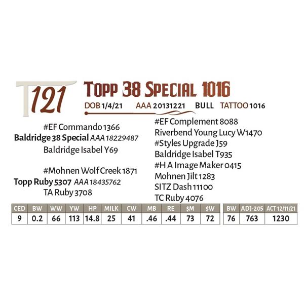 Topp 38 Special 1016