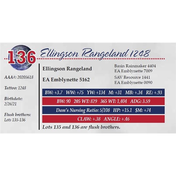 ELLINGSON RANGELAND 1248