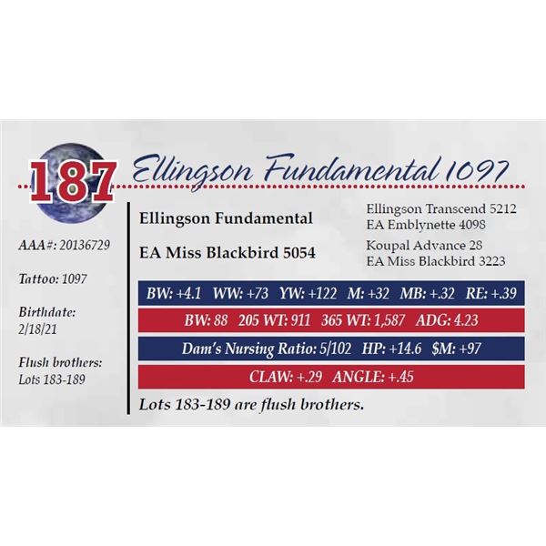 ELLINGSON FUNDAMENTAL 1097