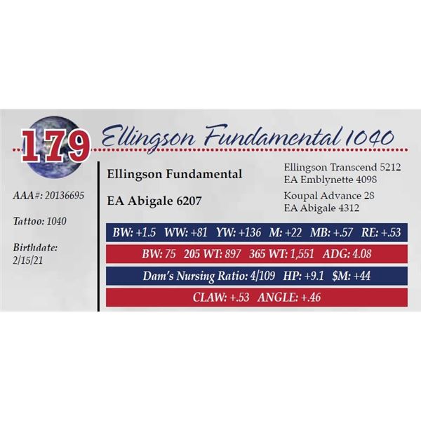 ELLINGSON FUNDAMENTAL 1040